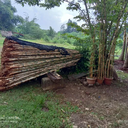 stock bambu jepang